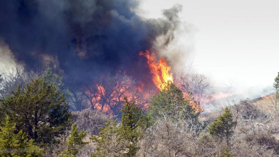Cedar trees go up in flames Thursday during a grass fire about 15 miles southwest of Medicine Lodge. More than 200 firefighters are battling an active fire line stretching 30 to 40 miles long in Barber County.