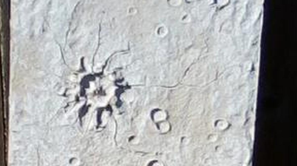 This prop is believed to be part of the moonscape from the “Major Astro” TV show.