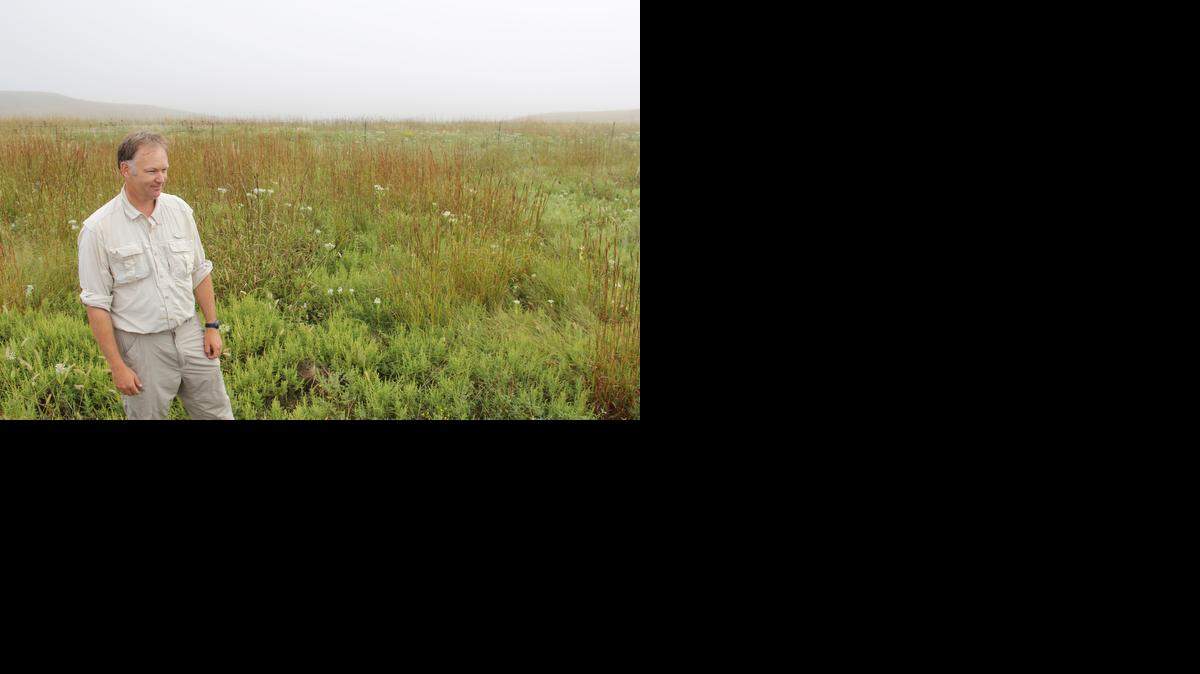
Greg Houseman, associate professor of biology at Wichita State University, stands in a field at the Youngmeyer Ranch in the Flint Hills. The estate of Earl and Terri Youngmeyer has donated access to the 4,600-acre ranch to researchers and students at Wichita State. 
