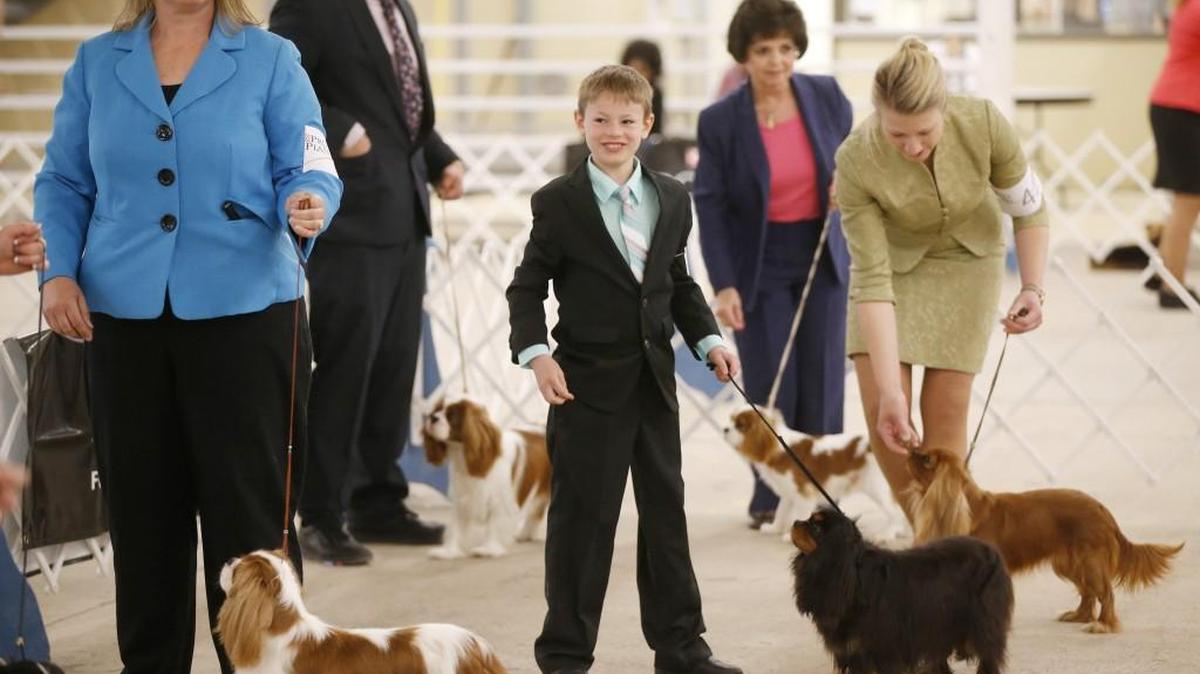 The Sunflower Cluster Dog Show is looking for a new home with the cessation of events at the Pavilions next year.