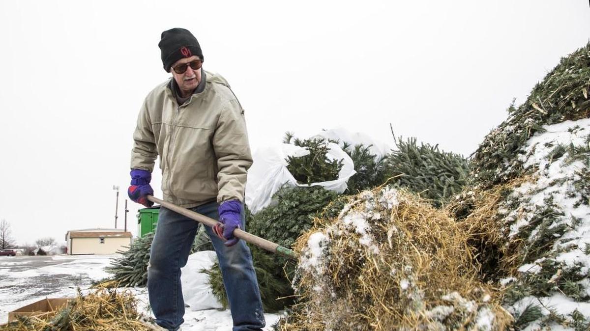 You can leave your old Christmas tree or pick up Christmas-tree mulch at county recycling sites.