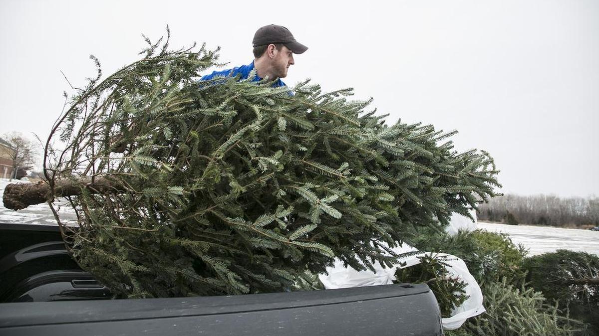 Ryan Dunbar disposes of his tree at the Christmas tree recycling drop-off at the Sedgwick County Extension Education Center, 7001 W. 21st St., in 2014.