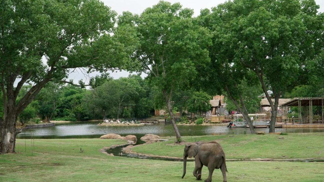 The Sedgwick County Zoo’s Reed Family Elephants of the Zambezi River Valley exhibit opened to the public in May 2016. The zoo recently raised some ticket prices for 2017.