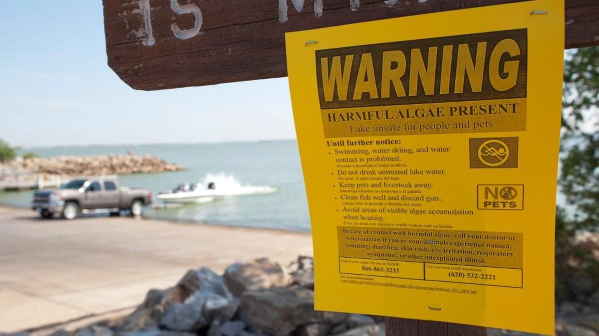 The Department of Health and Environment has issued a blue-green algae warning for Hiawatha City Lake in Brown County, Marion Reservoir in Marion County and Plainville Township Lake in Rooks County.