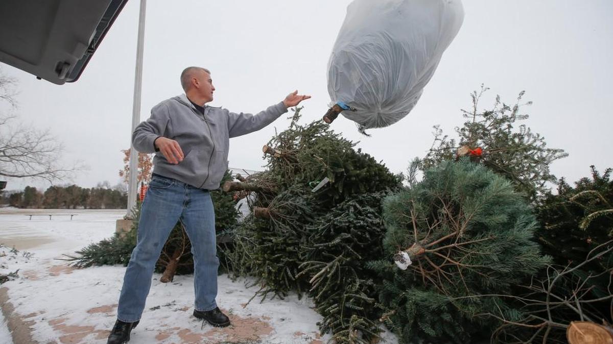 Mike Phelps tosses his family’s Christmas tree onto a recycling pile at Buffalo Park in west Wichita.