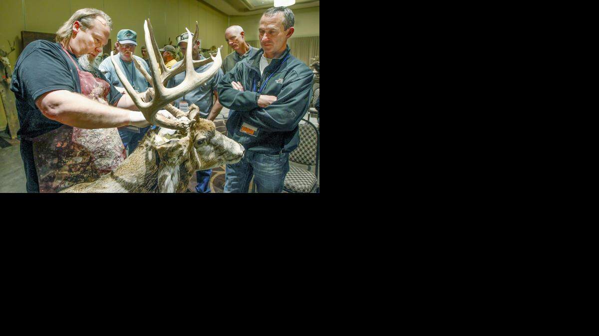 
Taxidermist Cory Foth, left, puts the antlers on a deer that he is preparing during a seminar Friday at the Kansas Association of Taxidermists convention.  (March 27, 2015)
