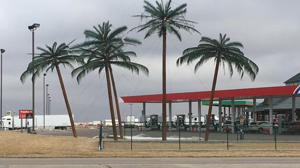 The metal palm trees at Colby’s Travel Plaza off I-70 help promote the town as an “Oasis on the Plains.”