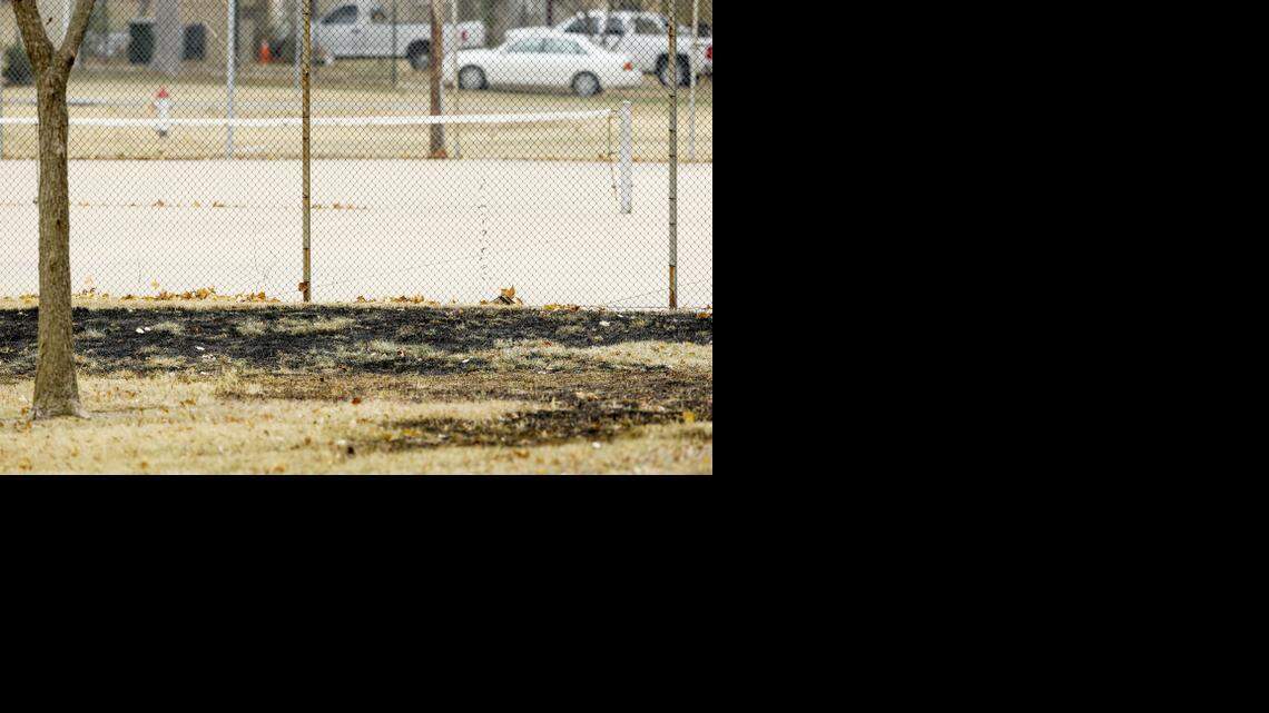 
Scorched grass marks the area where a woman was set on fire Friday night in Fairmount Park. (Nov. 15, 2014)
