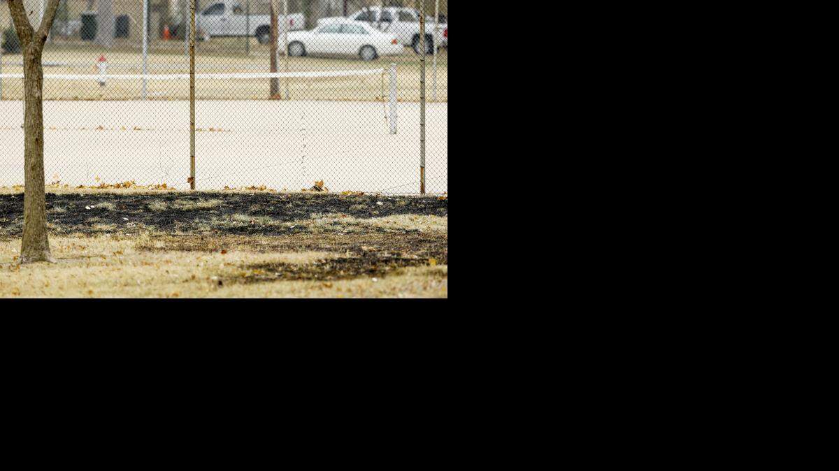 
Scorched grass marks the area where a woman was set on fire Friday night in Fairmount Park. (Nov. 15, 2014)
