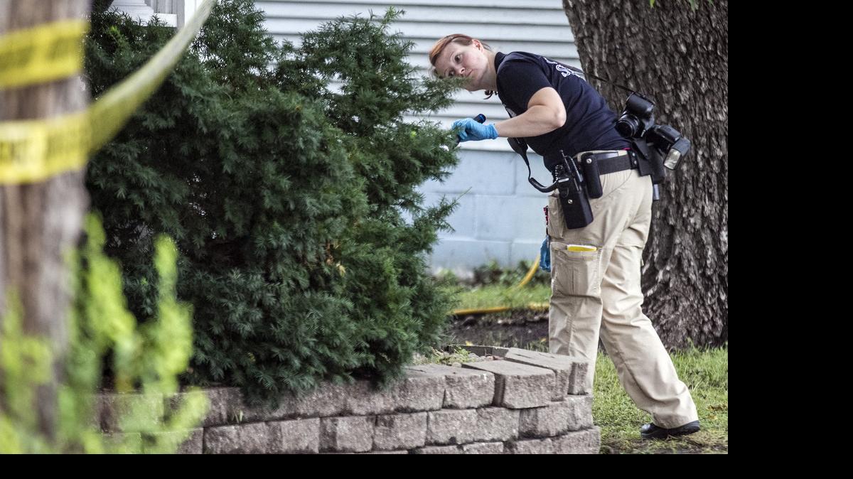 
A Wichita police crime scene investigator looks for evidence in some bushes at a house at Douglas and Estelle where man was found in the street suffering from gunshot wounds shortly before 3 a.m. Wednesday. He was later pronounced dead at a local hospital. (July 8, 2015) 
