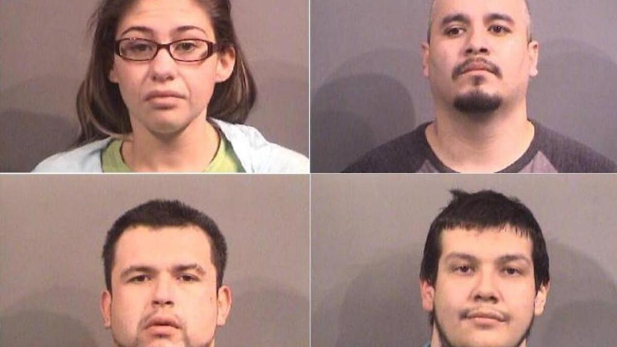 Clockwise from top left: Amelia Wilson-Ramos, Diego S. Olivas, Gabriel R. Lara, Jose A. Rojas.