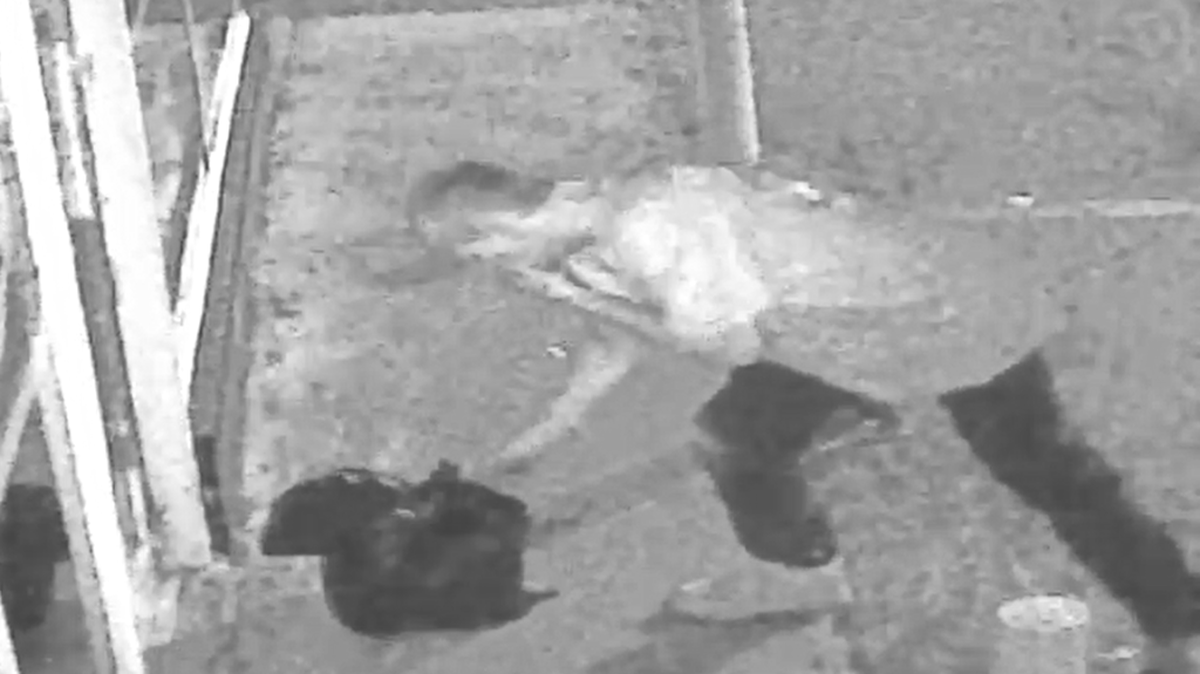 Wichita police are still looking for two men who left an explosive device in front of Slice City Barber Shop on Sept. 13.
