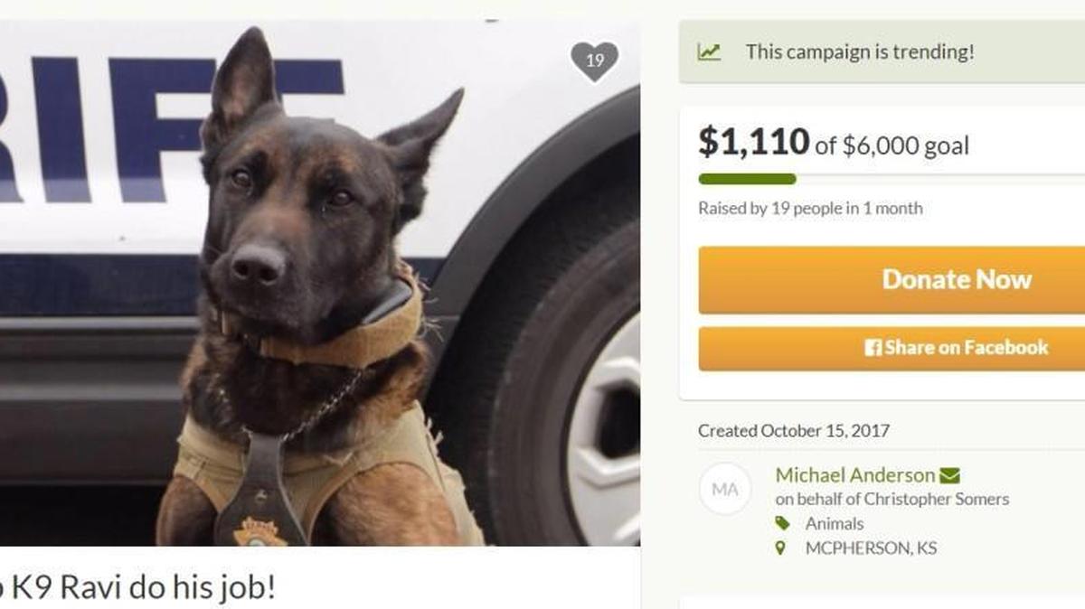 The McPherson County Sheriff’s Office is asking for help raising money to train police dog Ravi.