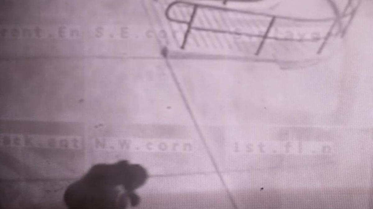Surveillance footage shows a purse being stolen from a dead woman early Saturday at the Inter-Faith Villa Courts.
