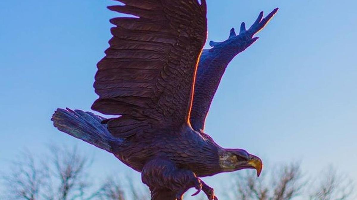 
This eagle statue was stolen from the Quivira Council’s property on North Oliver. 
