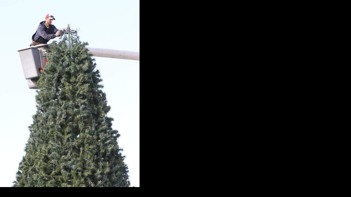 
Rodney Lewis of the Wichita Forestry Department strings lights on the city Christmas tree in front of Century II. He and other Forestry Department employees were setting up downtown decorations and the Christmas tree in preparation for ‘Night with Santa.’ on Dec. 2. (Nov. 20, 2014)
