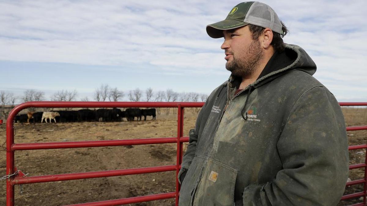 Matt Ubell looks at his cow herd on his farm near Wheaton, Kan. Ubell is one of many farmers taking out government farm loan to make ends meet in a turbulent farm economy.