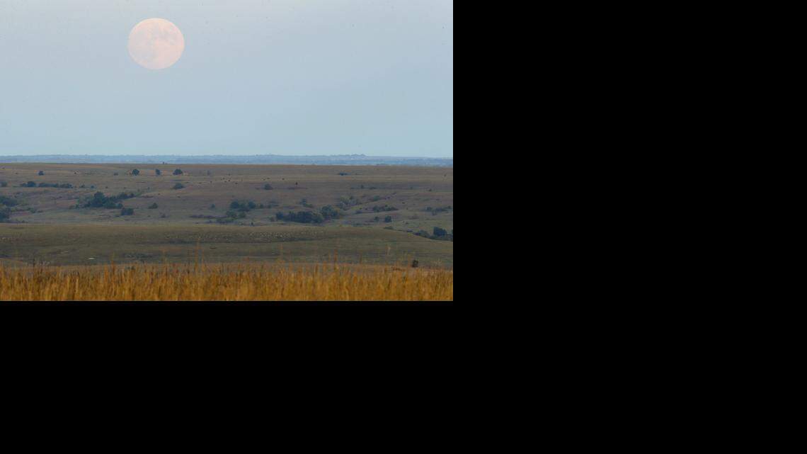 
A full moon rises over the Youngmeyer Ranch in the Flint Hills. The family foundation of the estate of Earl and Terri Youngmeyer donated access to this ranch land to Wichita State University. Researchers at the university will study plants and animals, insects, geology and the anthropology on the land.
