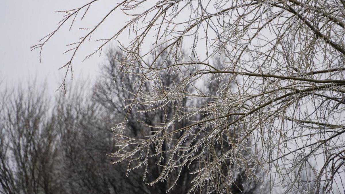 While Wichita saw some accumulation after a weekend ice storm, other parts of the state were hit harder, with some areas still without power on Monday. (Jan. 15, 2016)