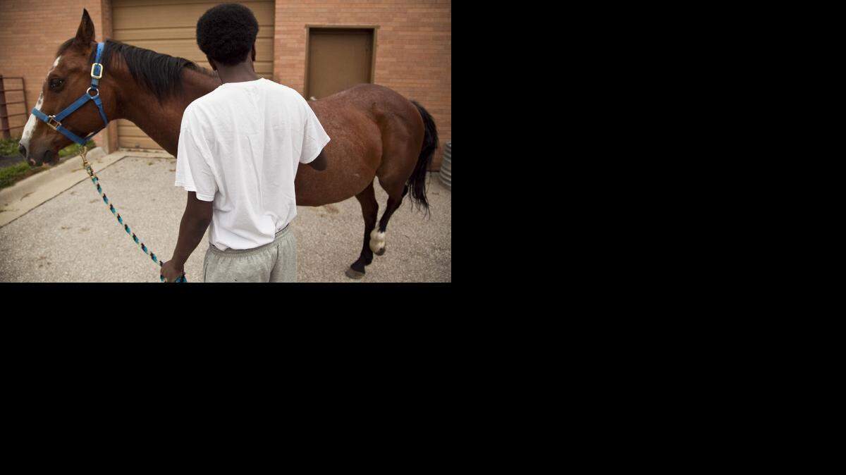 
A student cares for a horse in the Judge Riddel Boys Ranch in 2012.
