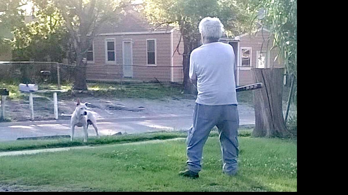 
Johnny Denney with a baseball bat under his arms, faces off with a pit bull in his yard. The photo was taken by his daughter.
