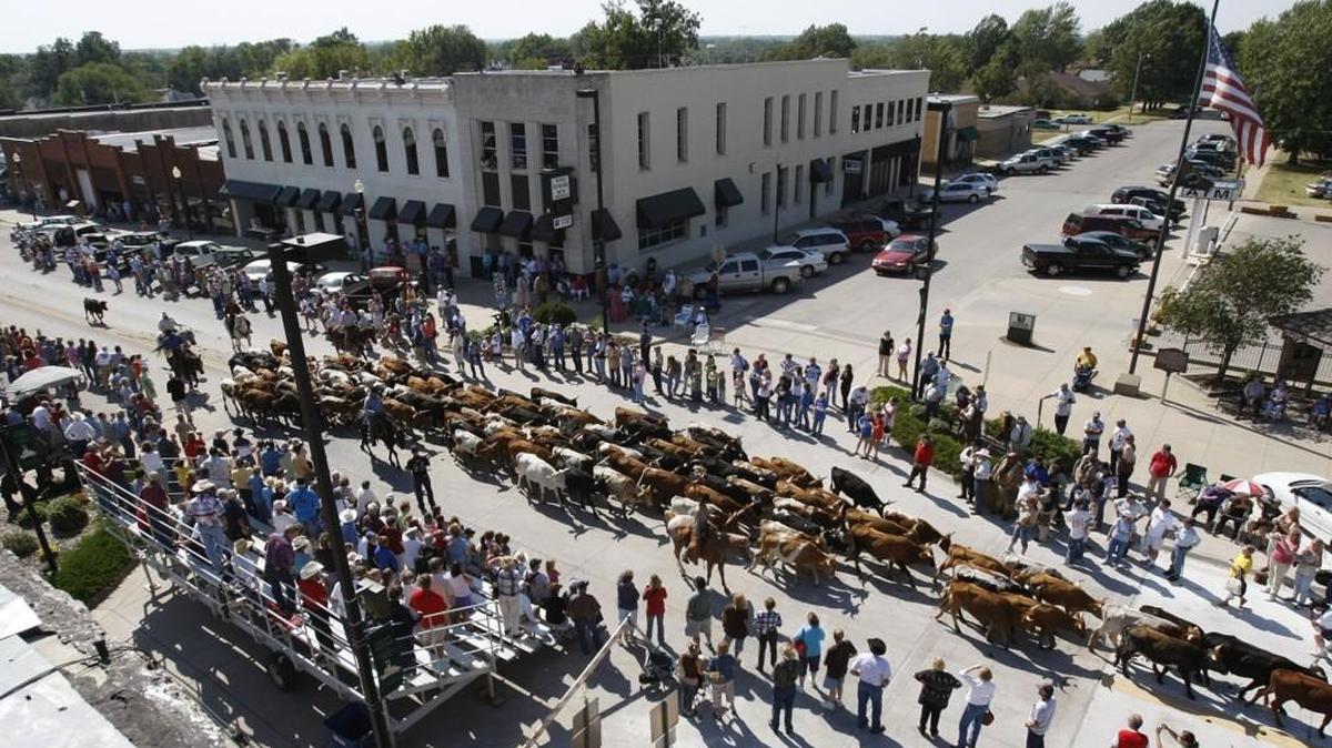 Cattle are driven through downtown Caldwell as the Chisholm Trail is celebrated in 2007.