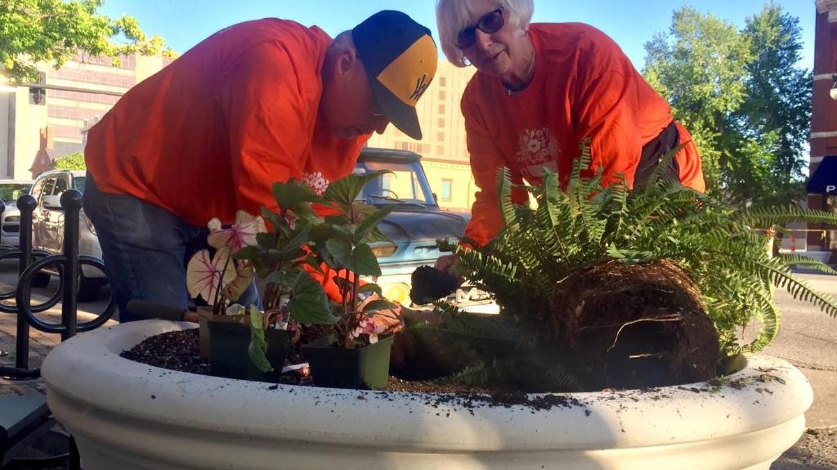 Euel and JoAnn Reed volunteered to help plant ferns and flowers along Douglas Avenue on Saturday. Organizer Cindy Carnahan plans to beautify Douglas Avenue between Washington and Main streets.