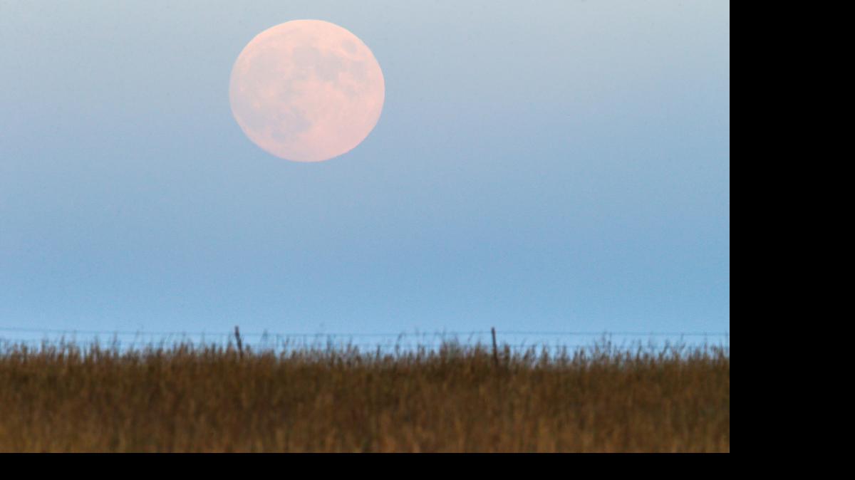 
 The moon will reach its fullest at 5:42 a.m. CDT Friday. 
