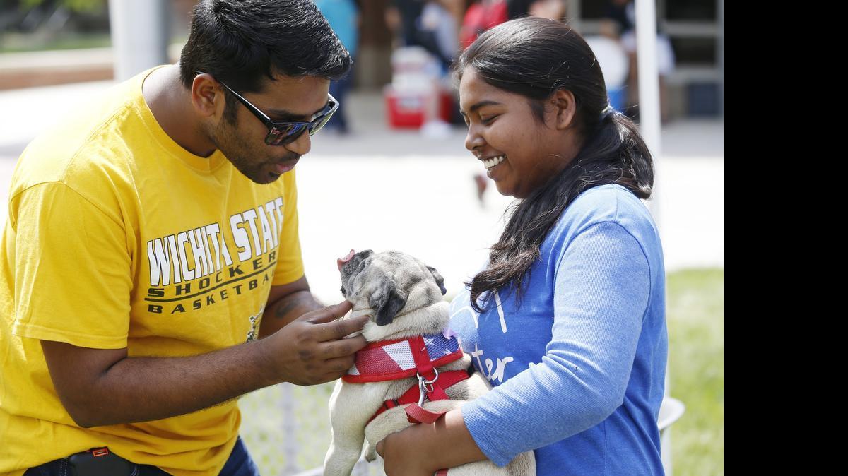 
Pranaykumar Golkonda, left, and Rachina Chinta pet a pug during the Pet a Puppy event at Wichita State University. The event was sponsored by the Student Activities Council and designed to relieve some stress during finals week. The pugs were from the Wichita Pug Rescue group. (May 4, 2015)
