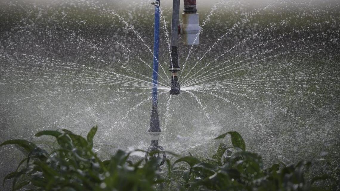 Farmers trying to save Ogallala Aquifer harvest financial success using less water