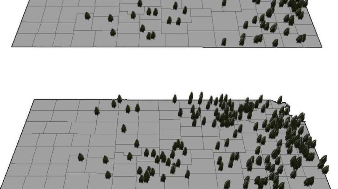 As red cedars spread across Kansas, so does risk of unstoppable ...