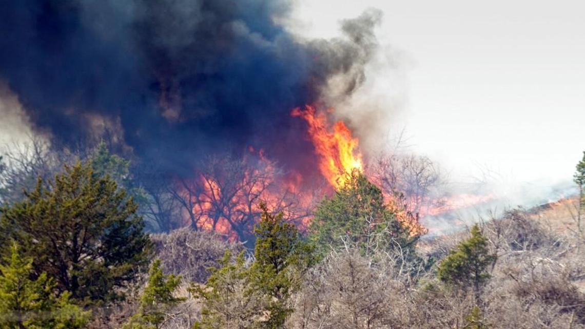 Cedar trees go up in flames during a wildfire about 15 miles southwest of Medicine Lodge on Thursday morning.