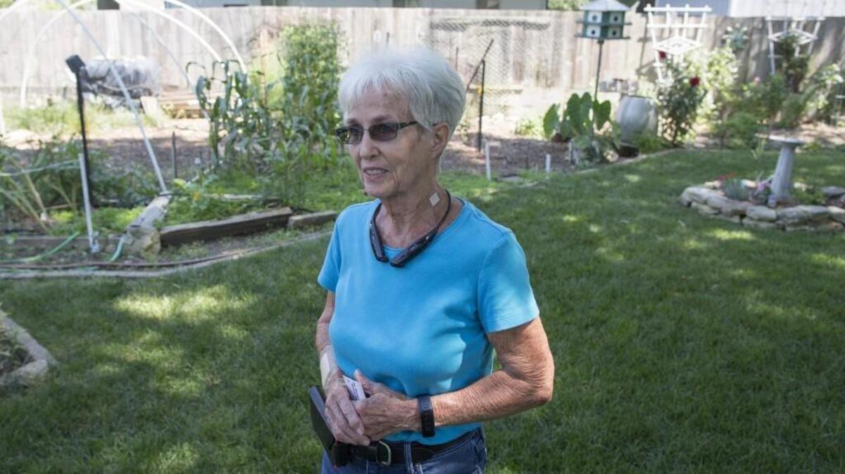 Virginia Dagenais has trapped or killed at least 19 rats in her backyard since June. She’s livee at her home near 13th and Ridge since 1959 and had never seen a rat before this summer.