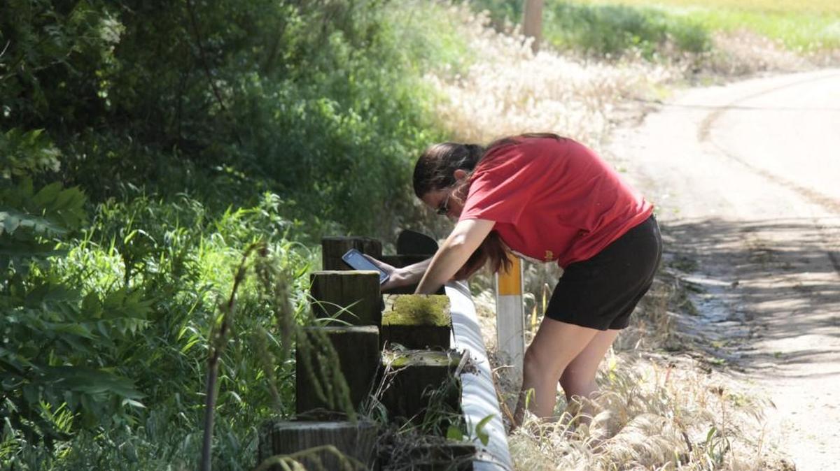 Salena Rotz searches for a hidden cache in Sumner County on Wednesday afternoon. In a year she has found 33 caches. Other geocachers have found many thousands.