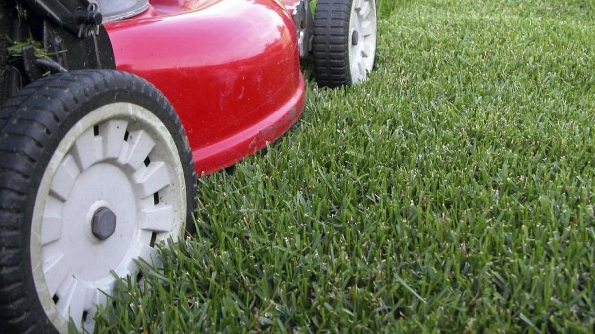 Local experts say: Cutting a lawn when it’s wet can damage the grass and cause a mess. It can leave clumps of clippings that smother healthy grass. It tends to tear the blades because it’s harder to cut cleanly when it’s wet.