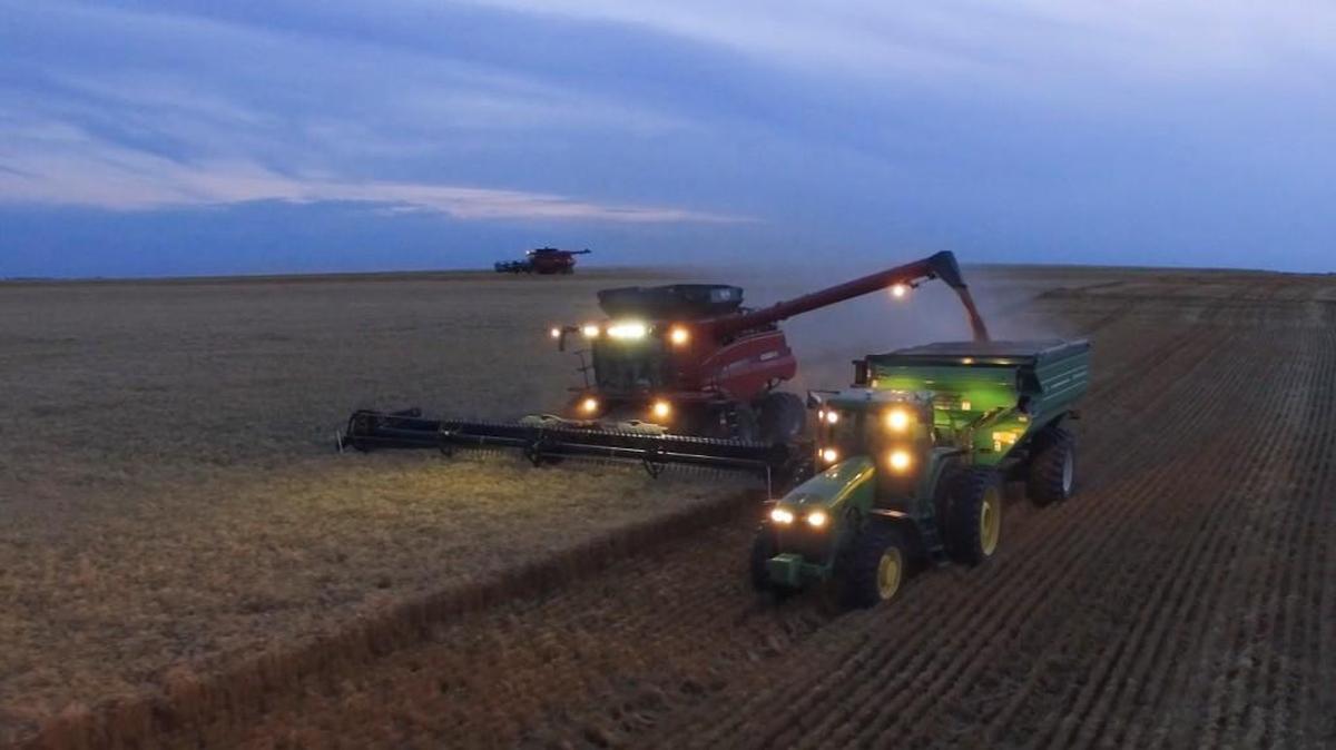 A frame grab from a video shot by Doug Armknecht of the wheat harvest at the farm owned by his wife’s family in Osborne County. It will be shown at the New York City Drone Film Festival next month.