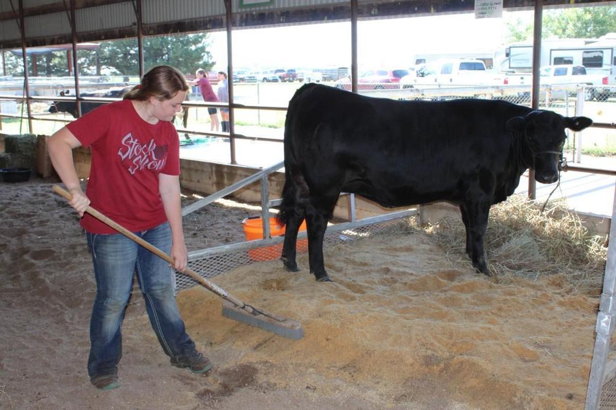 The Sedgwick County Extension Center is trying to decide what to do about the 2020 4H competitions that would have happened at the Sedgwick County Fair.