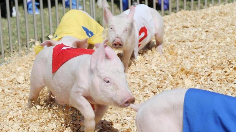 PHOTOS: Opening day at the Kansas State Fair