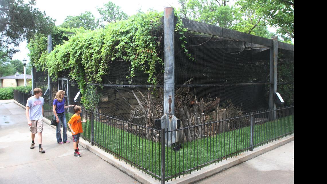 
Rhonda McKibbin, her son Ian Dowty, left, and Payton Bowling visit the Kansas Wildlife exhibit in Central Riverside Park on Thursday afternoon. (July 9, 2015)
