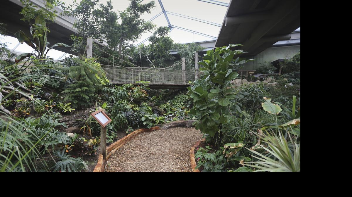 The Sedgwick County Zoo has finished upgrades on its Tropics exhibit. The building’s new, three-layer roof lets more light in but is insulated against Kansas weather extremes.