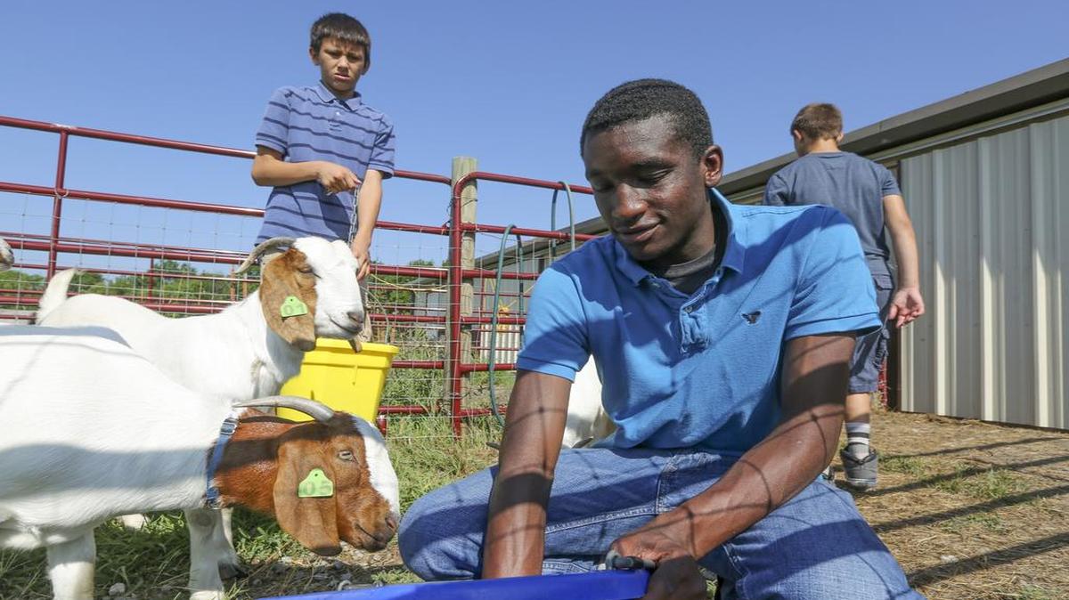 
Joshua Marshall, center, and Jacob Ragazzone provide water to a herd of goats at the Youth Horizons campus on Friday. 
