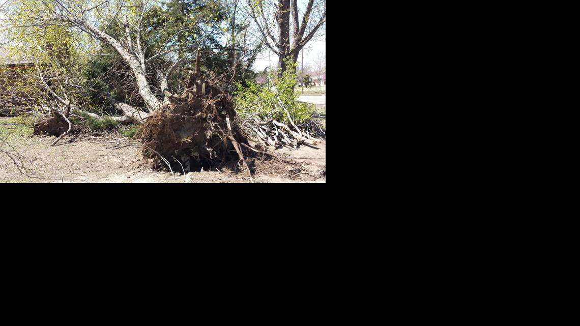 
Wichita residents continue to clean up after Friday’s storm and high winds. Brooks Landfill will be accepting storm debris for free until Wednesday. (April 4, 2015)
