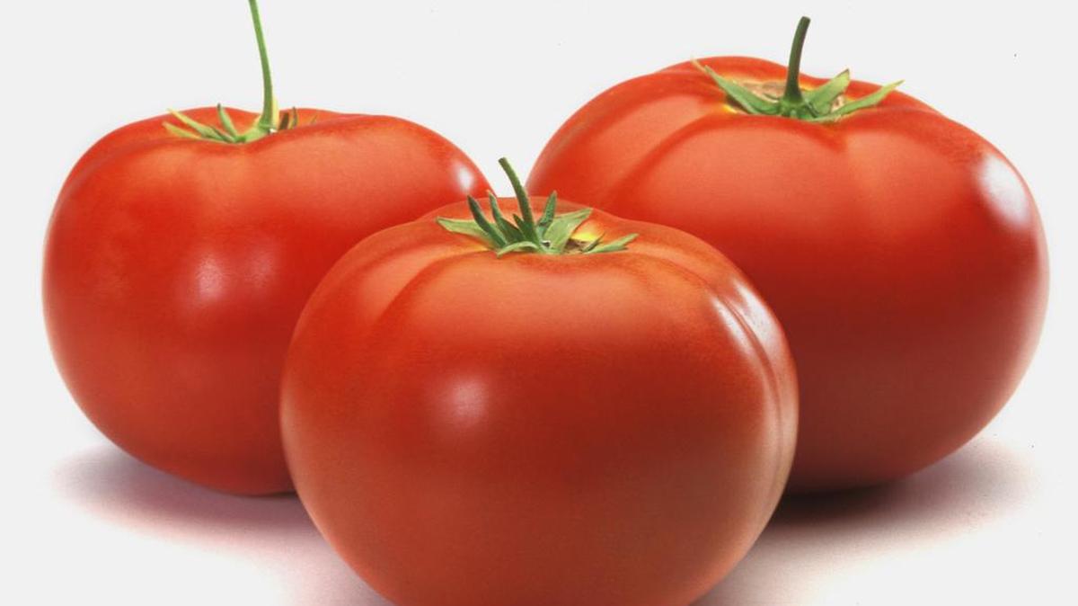 Here’s what to know about the recalled tomatoes, which may be contaminated with salmonella.