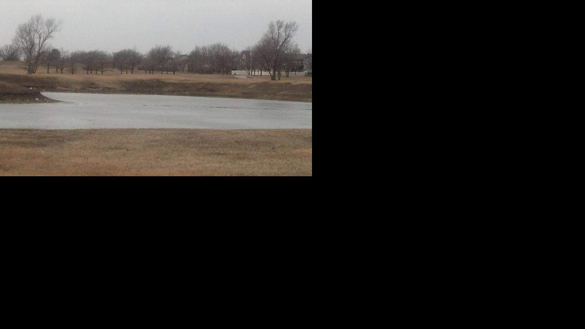 
A woman, thought to be in her 50s, is in critical condition after falling into a pond at Harrison Park while trying to retrieve her poodle on Tuesday, a fire department official said. The park is near Harry and Webb Road. (March 3, 2015)
