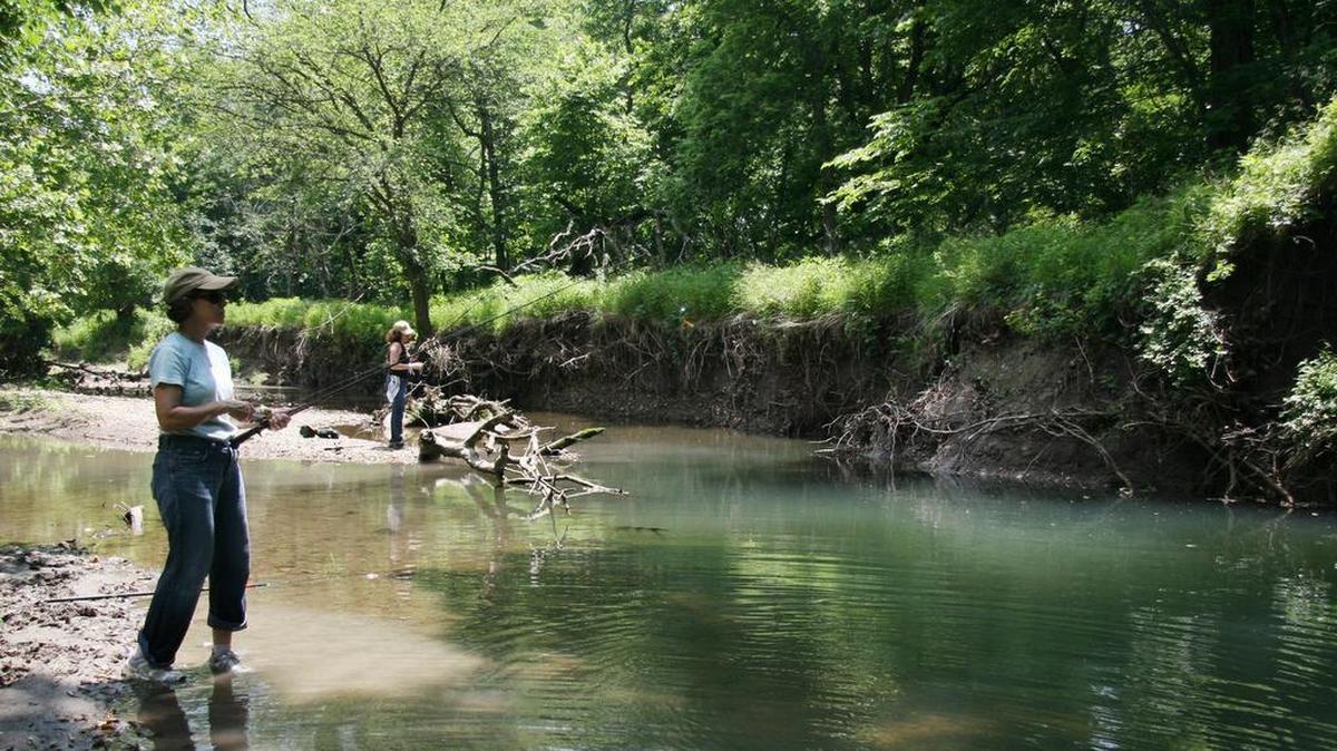 The Nature Conservancy of Kansas has pledged $2 million to help restore the health of Kansas streams, some of which are no longer clean enough for human enjoyment.