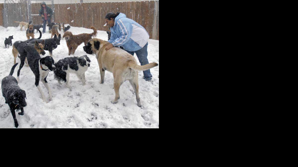 
Now that the first blasts of winter have arrived, Wichita area animal advocates encourage people to be kind to four-footed friends and bring them inside.
