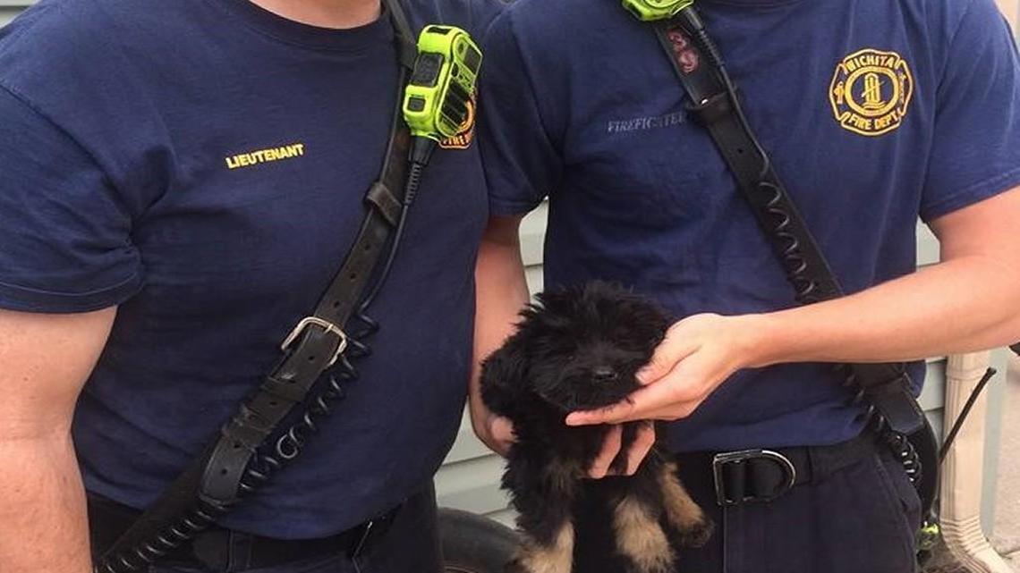 Lt. Ted Bush and firefighter Brian Richey with the rescued puppy.