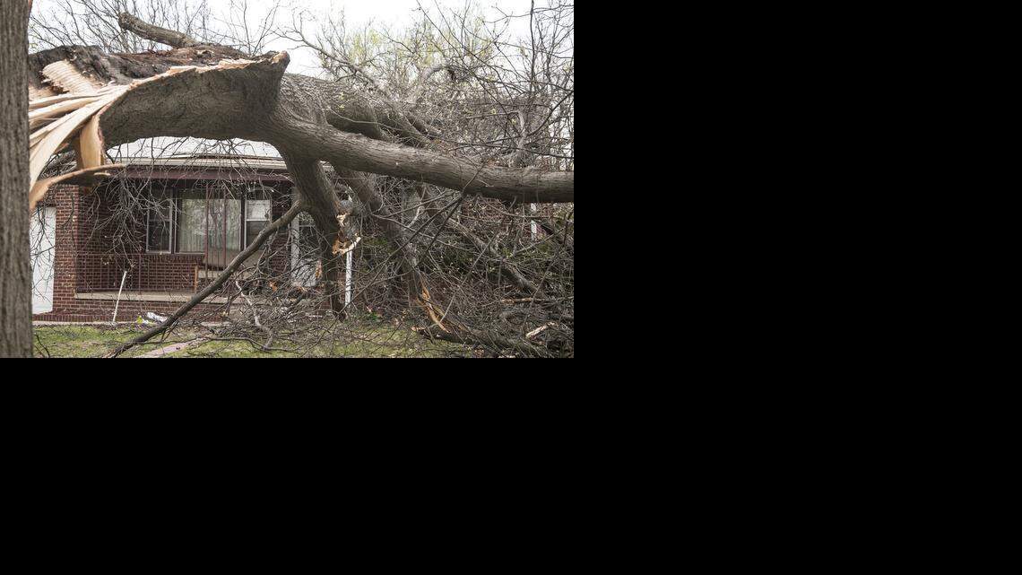 
A tree fell on the roof of a house in the 1800 block of south Glendale after a strong thunderstorm packing hurricane-force wind gusts and hail the size of golf balls raced through the Wichita metropolitan area early Friday morning, leveling trees and power lines and damaging houses.
