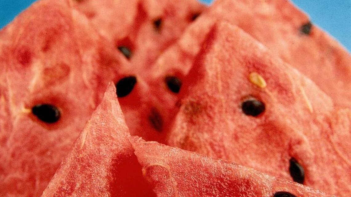 Officers respond to shots fired. It was a Haysville farmer protecting watermelon.