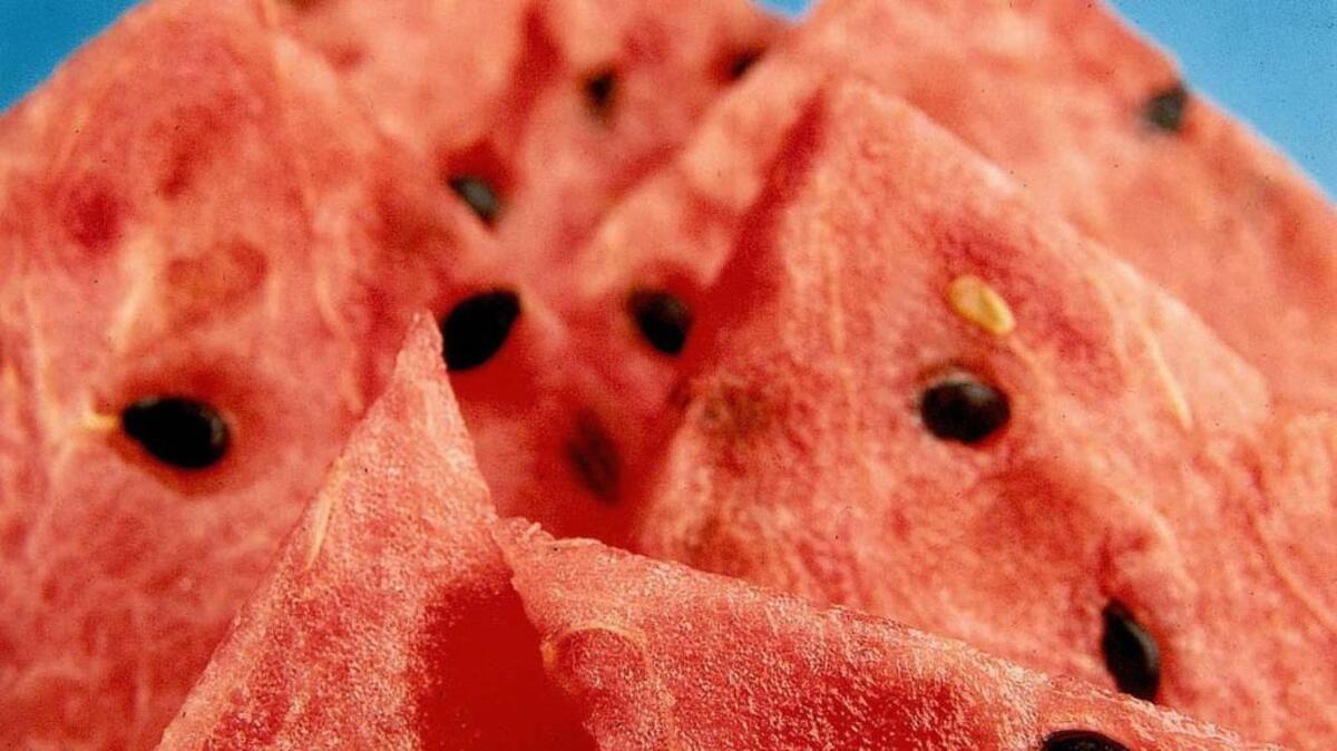 Melon-protection device mistaken for shots fired at officers | Wichita ...